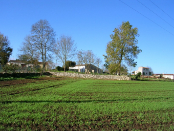 19-chemin rural - sauveté