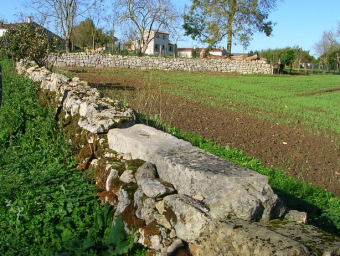 19- muret et chemin  - fontaine sauveté