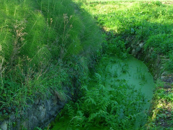 20-fossé fontaine 2 -sauveté