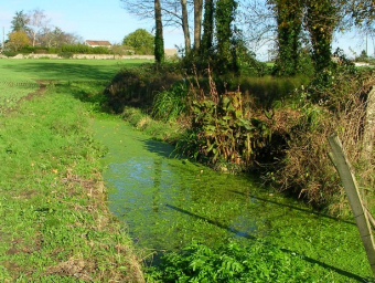 20-fossé fontaine 3 - sauveté