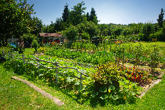 Jardins privés : INTERDICTION D’utiliser des pesticides chimiques